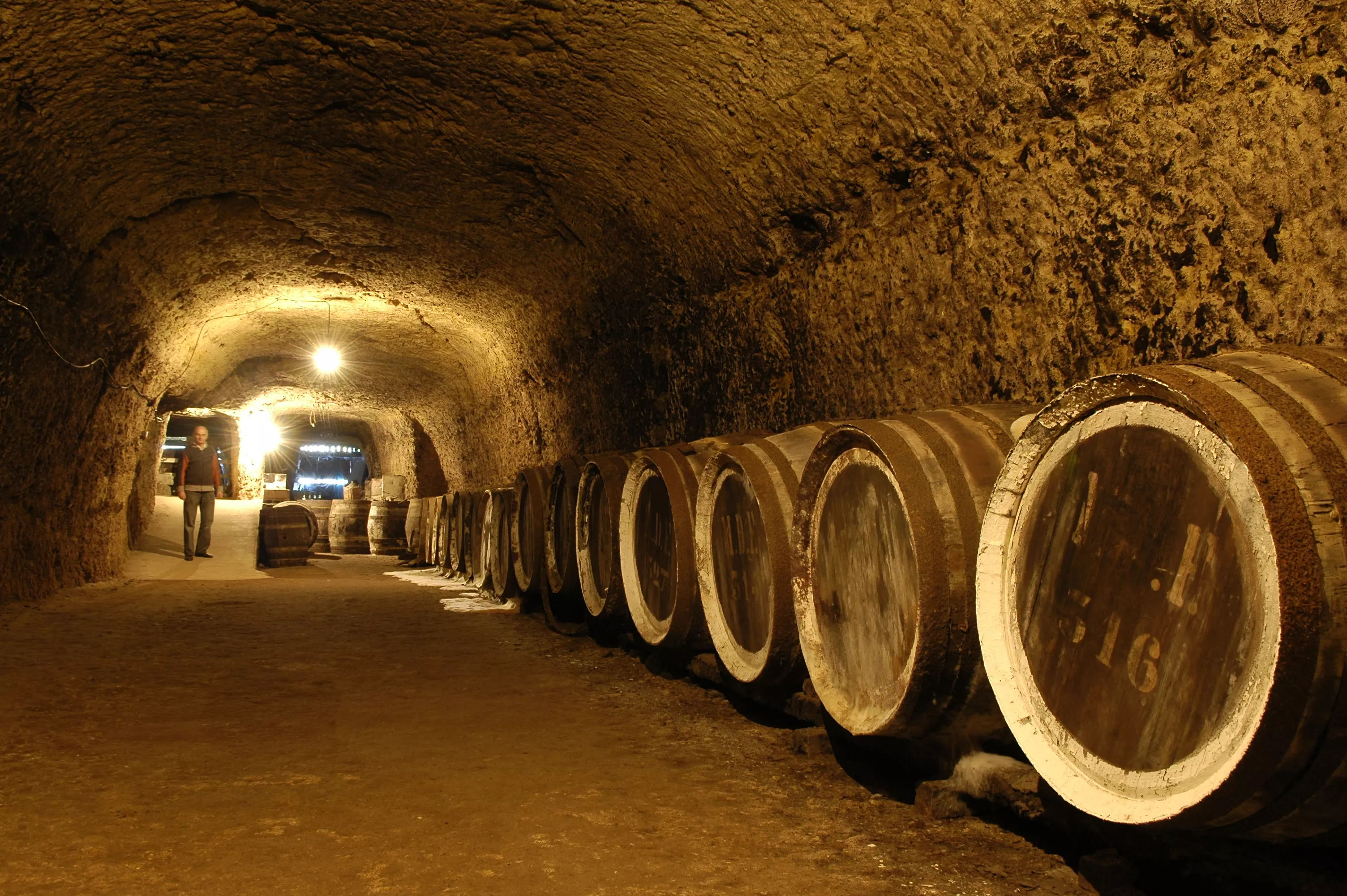 Les Caves Duhard in France, Europe | Caves & Underground Places,Wineries - Rated 3.3