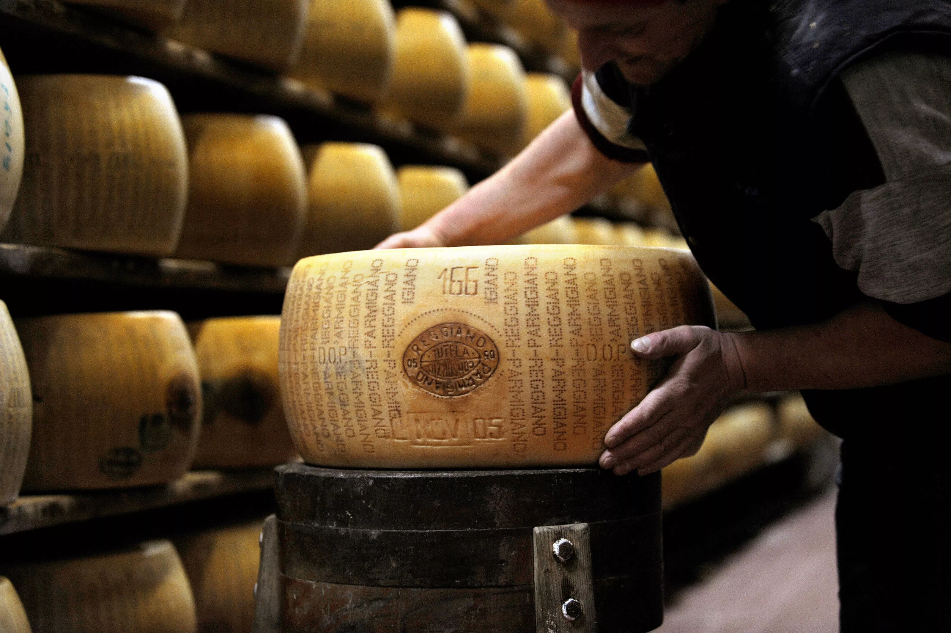Ambrosi S.p.A. in Italy, Europe | Cheesemakers - Rated 1