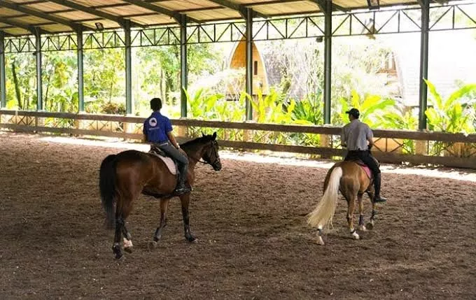Anantya Riding Club in Indonesia, Central Asia | Horseback Riding - Rated 1