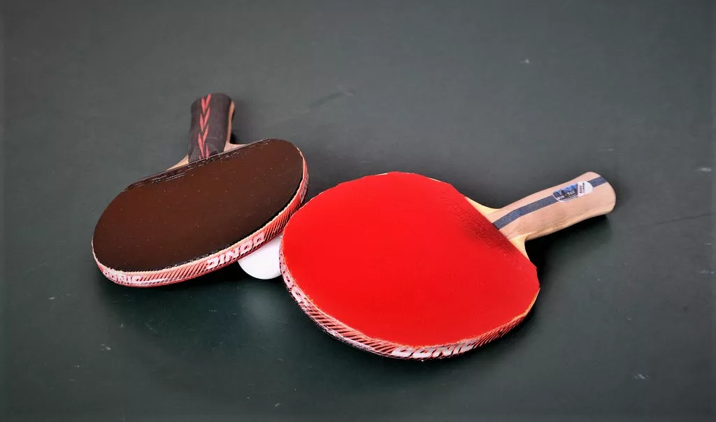 Andro Table Tennis Academy in Sri Lanka, Central Asia | Ping-Pong - Rated 0.9