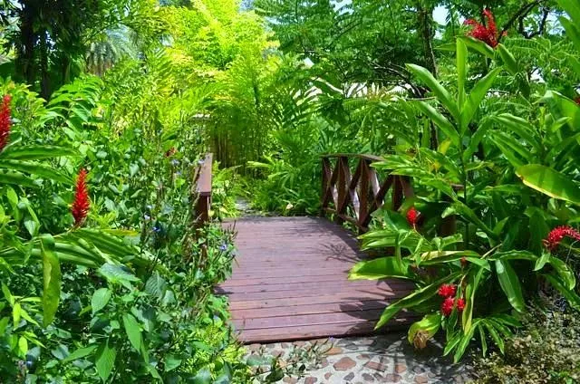 Andromeda Botanic Gardens in Barbados, Caribbean | Botanical Gardens - Rated 3.6