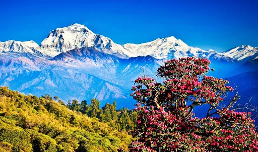 Annapurna National Park in Nepal, Central Asia | Parks - Rated 3.9