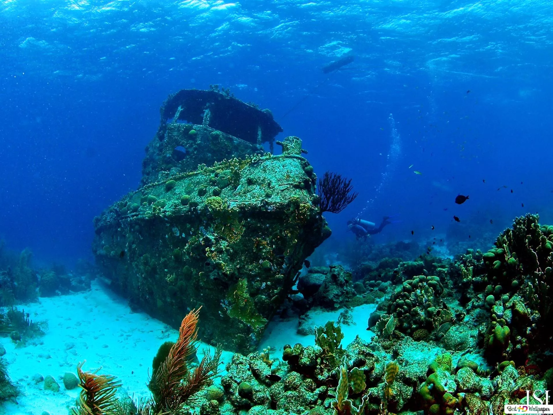 Antilla Shipwreck in Aruba, Caribbean | Snorkelling - Rated 4.8