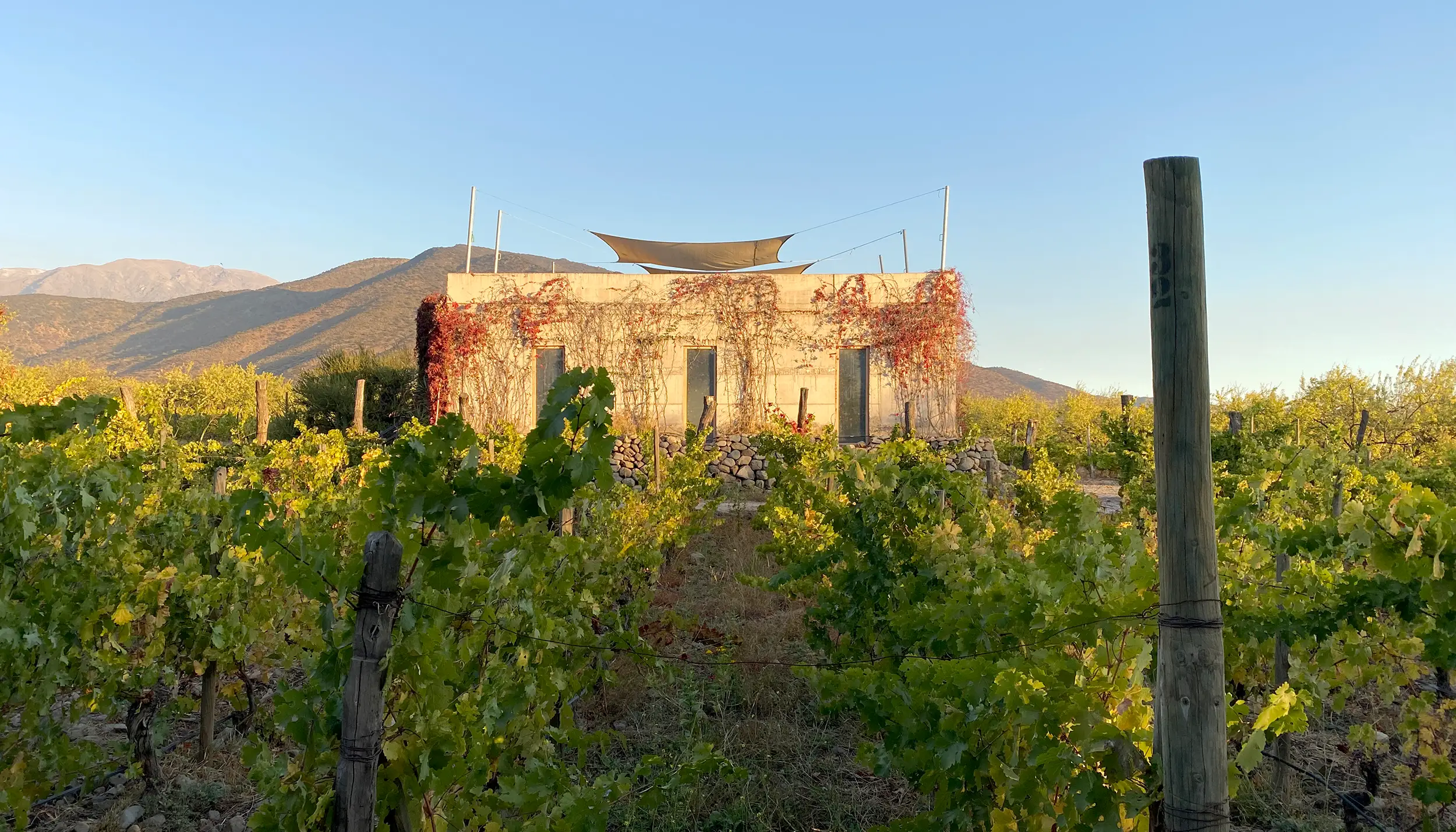 Antiyal in Chile, South America | Wineries - Rated 0.7
