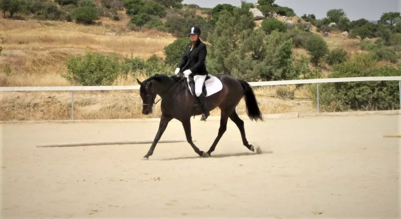 Amathus Park Riding & Livery Club in Cyprus, Europe | Horseback Riding - Rated 0.9