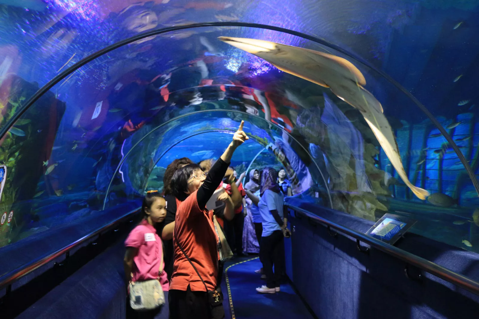 Aquaria KLCC in Malaysia, East Asia | Aquariums & Oceanariums - Rated 6.1