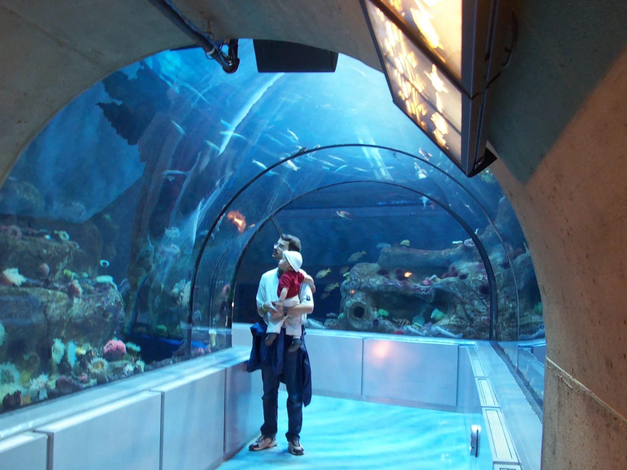 Aquarium of Quebec in Canada, North America | Aquariums & Oceanariums - Rated 4.4