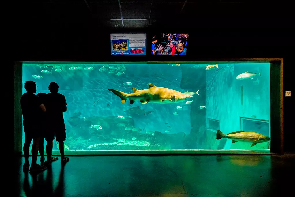 Aquarium of Seville in Spain, Europe | Aquariums & Oceanariums - Rated 4.4