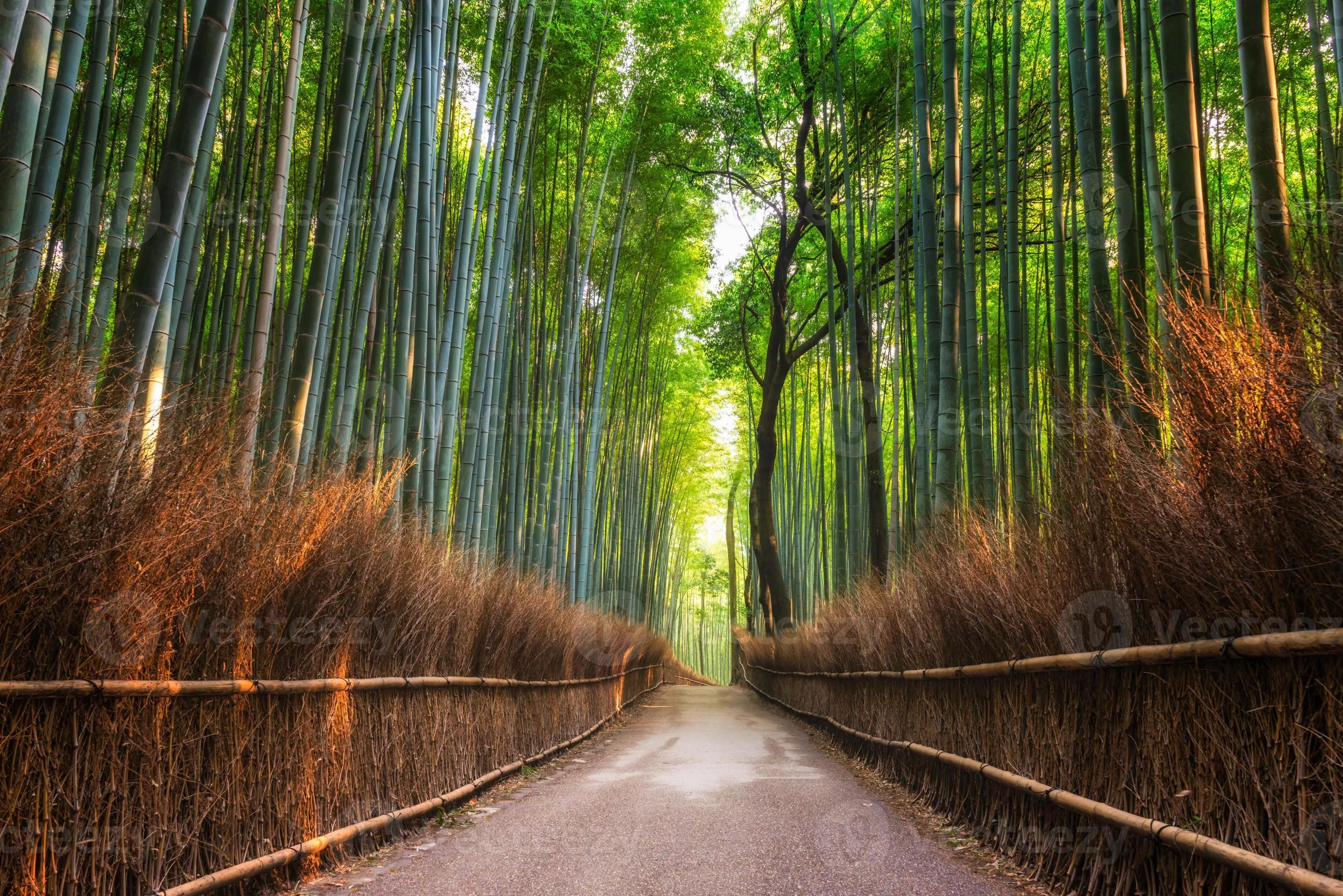 Arashiyama in Japan, East Asia | Nature Reserves - Rated 3.7