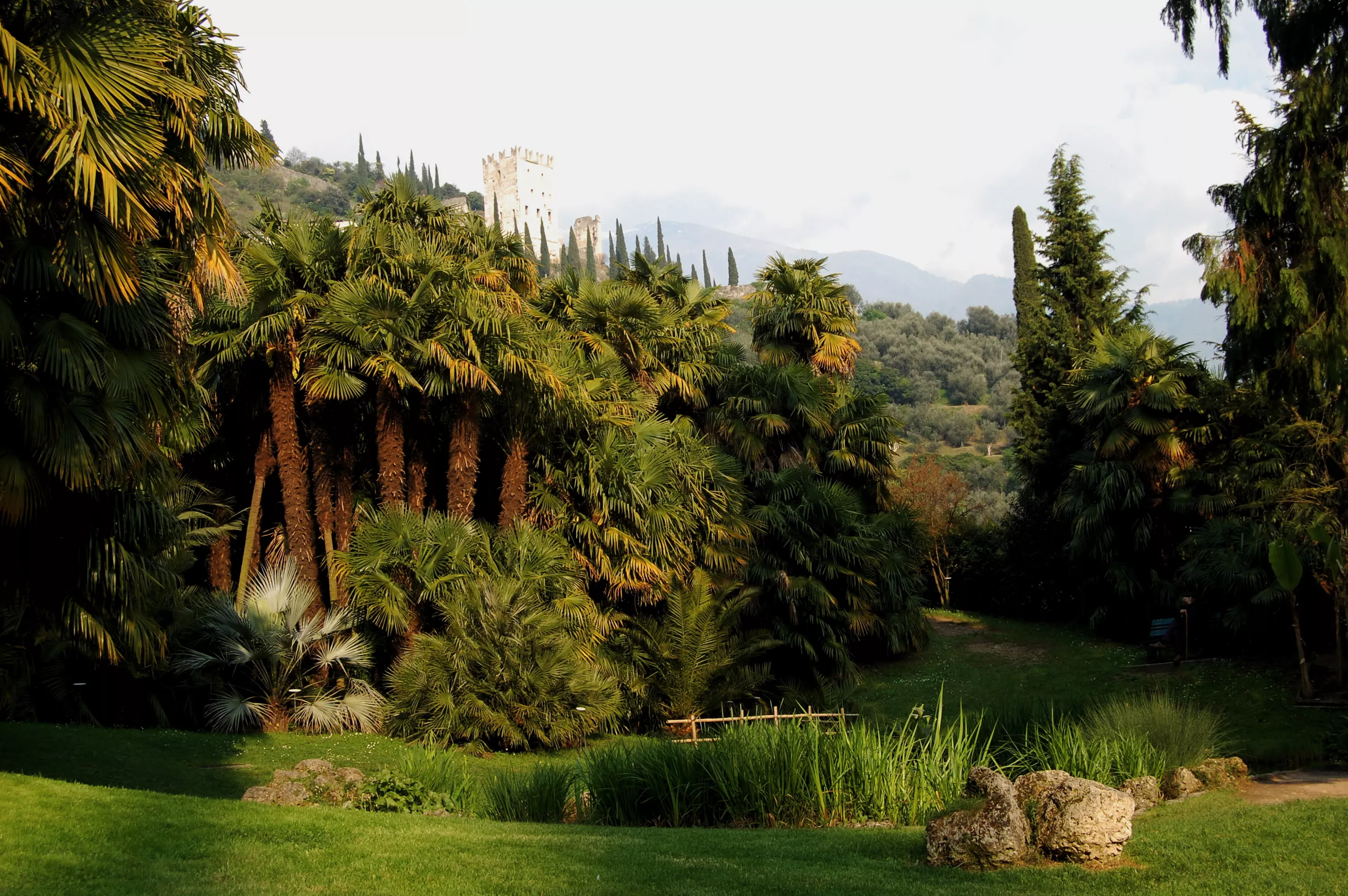Arboretum of Arco in Italy, Europe | Gardens - Rated 3.6