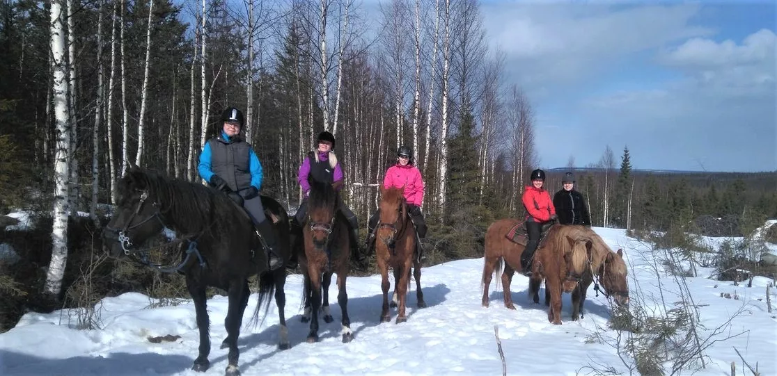Arctic Eraratsut - Tuulia Tykkylainen in Finland, Europe | Horseback Riding - Rated 0.9
