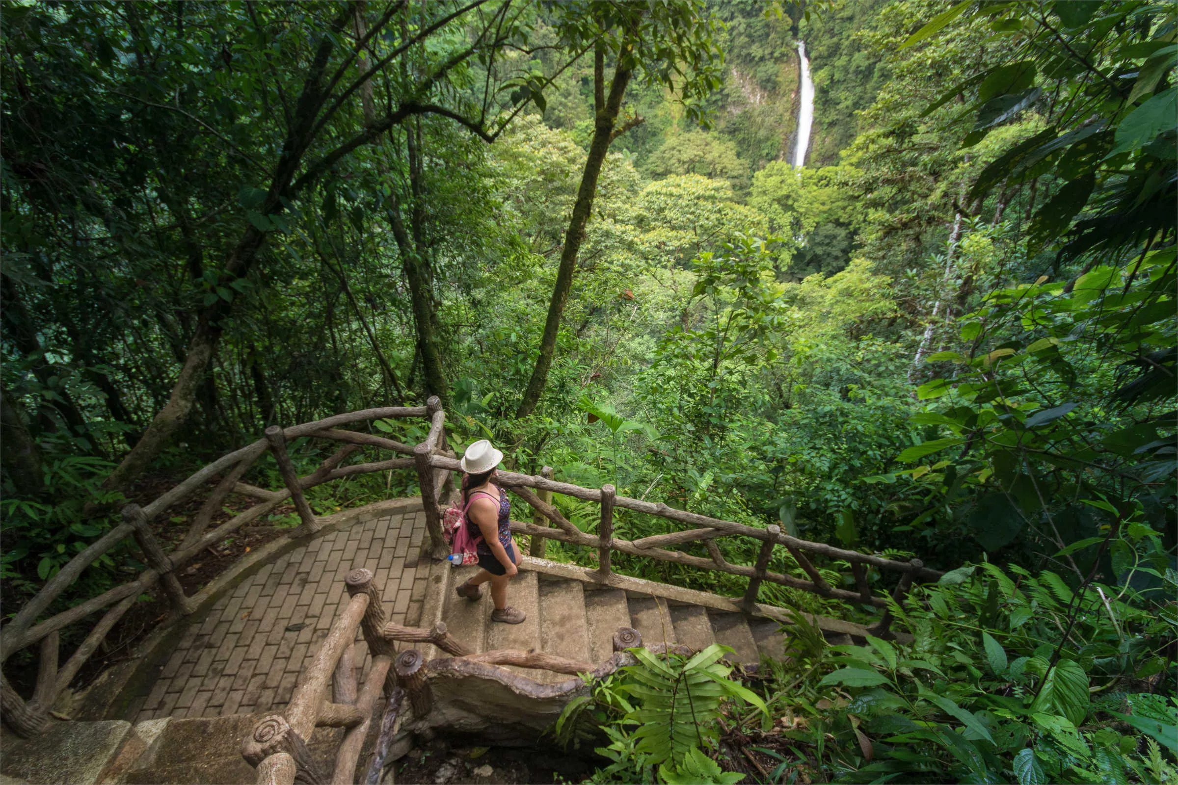Arenal Hanging Bridges Hike in Costa Rica, North America | Trekking & Hiking - Rated 4