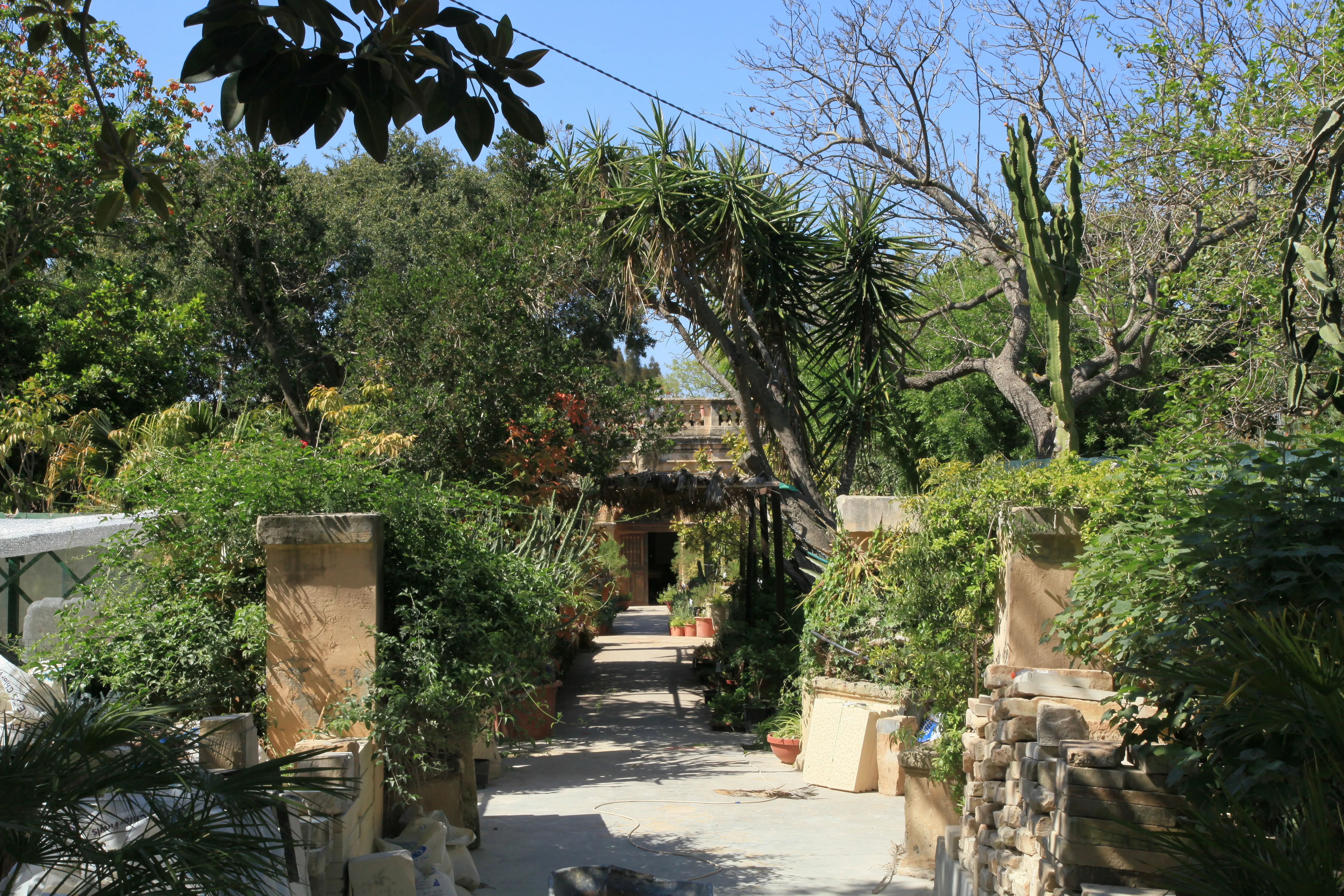 Argotti Botanic Gardens & Resource Centre in Malta, Europe | Botanical Gardens - Rated 3.6
