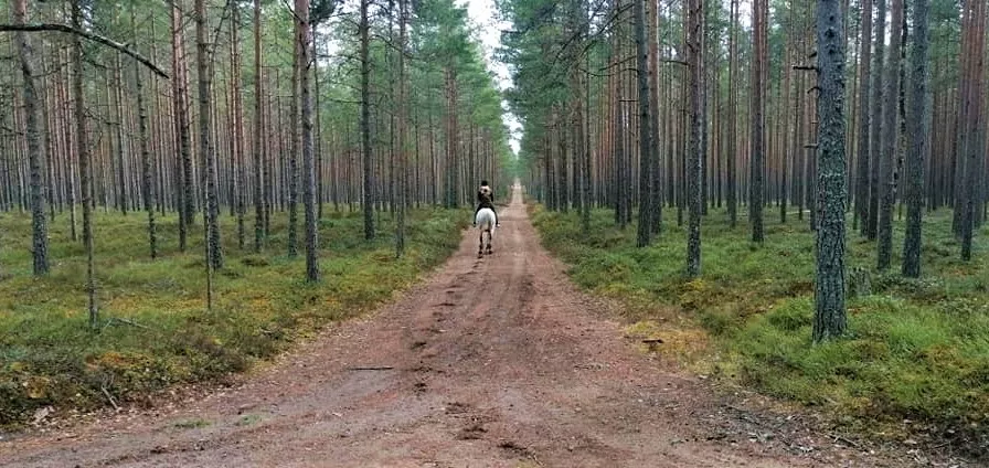 Arma Hipoteraapia ja Ratsakeskus in Estonia, Europe | Horseback Riding - Rated 1