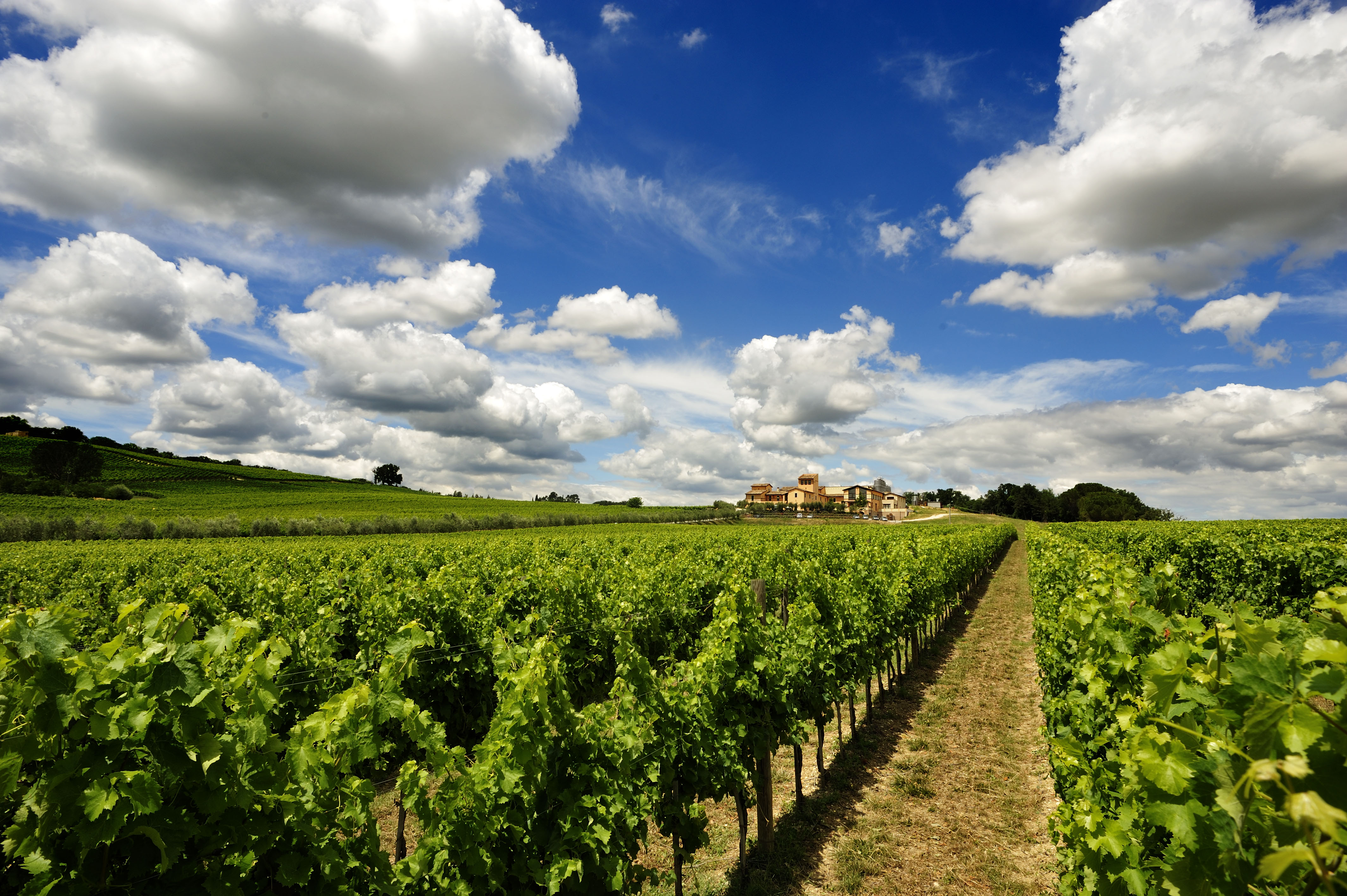 Arnaldo Caprai Agricultural Company in Italy, Europe | Wineries - Rated 3.9