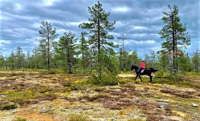 Artukaisten ratsastuskeskus in Finland, Europe | Horseback Riding - Rated 0.9