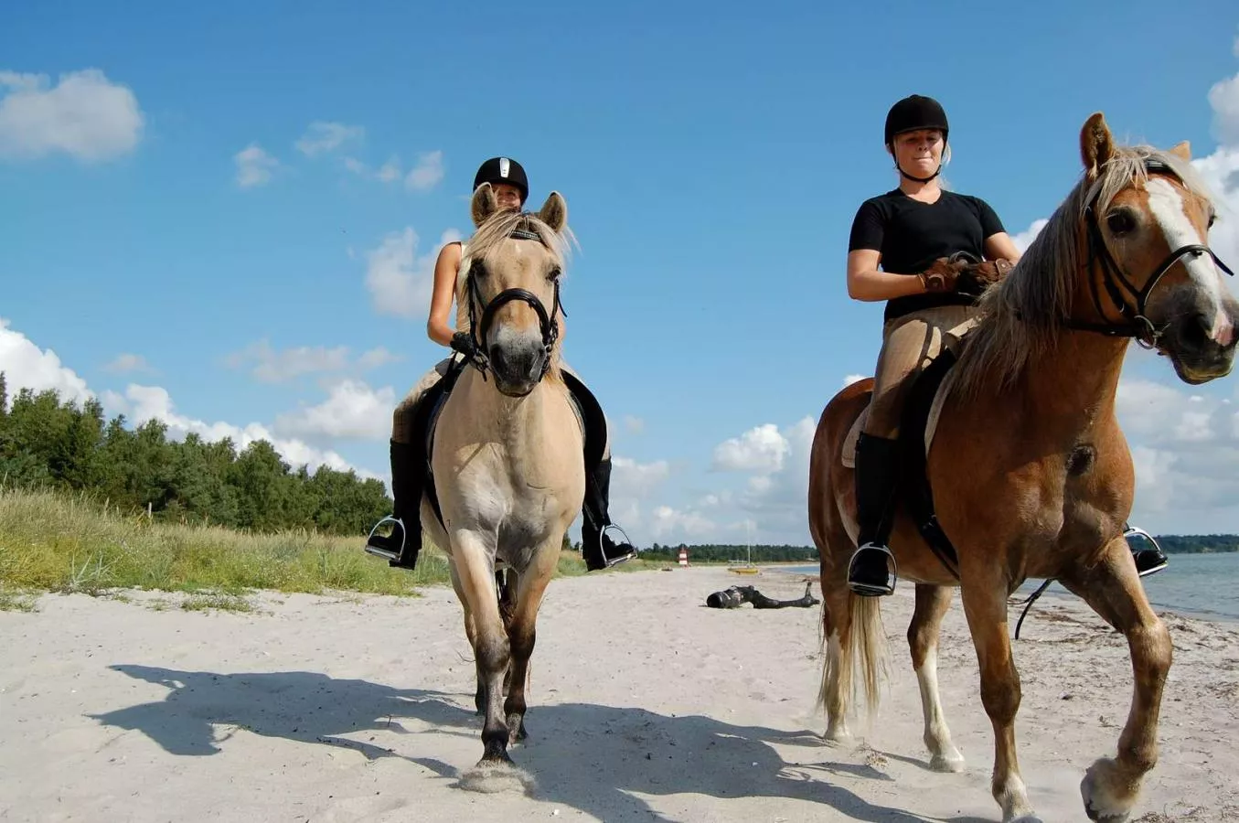Askov Ridecenter in Denmark, Europe | Horseback Riding - Rated 0.9