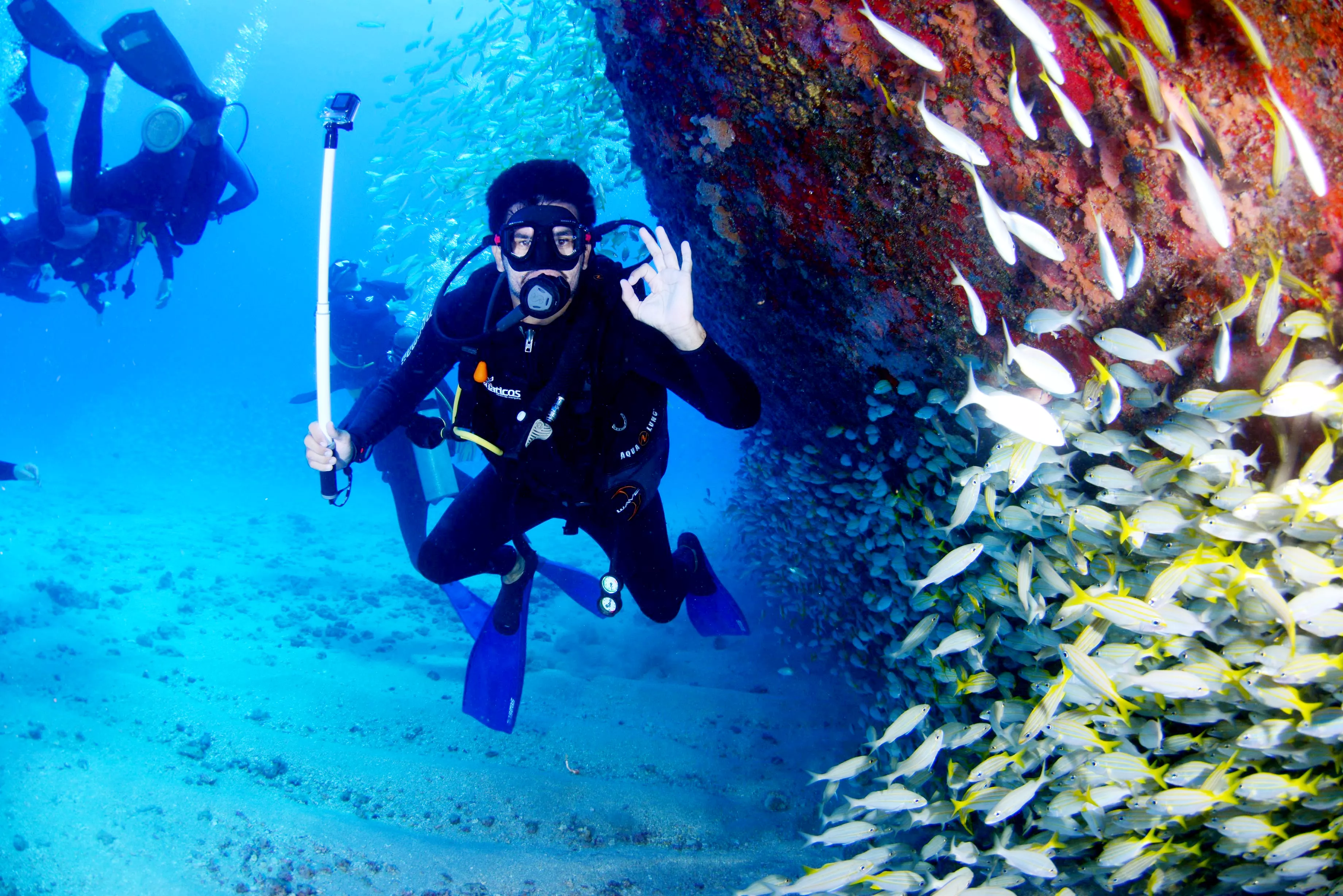 Atlantis Oia Dive Centre in Greece, Europe | Scuba Diving,Snorkelling - Rated 1.1