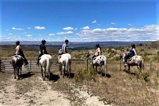 Backcountry Saddle Expeditions Ltd in New Zealand, Australia and Oceania | Horseback Riding - Rated 1.2