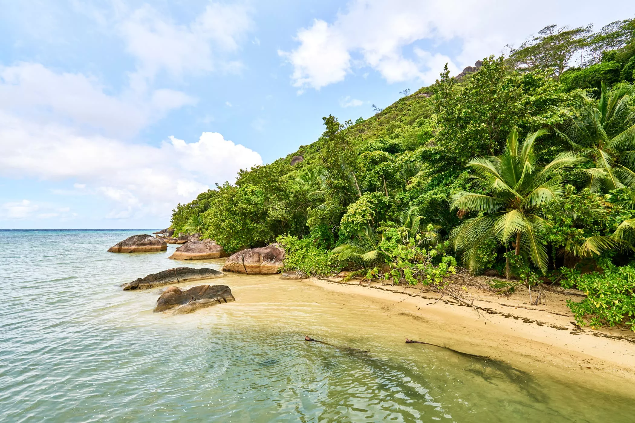 Baie Ternay Marine National Park in Republic of Seychelles, Africa | Parks,Snorkelling - Rated 1.1