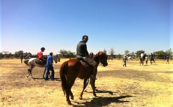 Balderas Horse racing club in Ethiopia, Africa | Horseback Riding - Rated 0.8