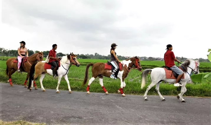 Bale Kuda Stable in Indonesia, Central Asia | Horseback Riding - Rated 1.2
