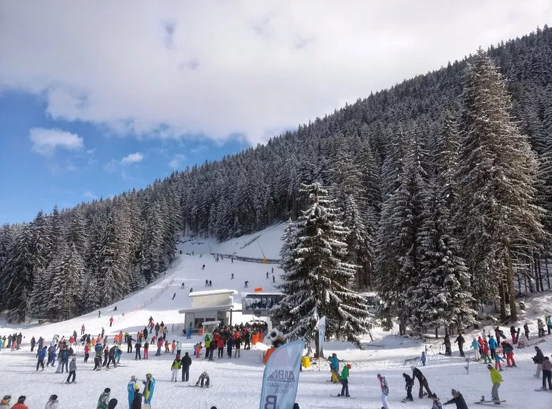 Banderishka Meadow in Bulgaria, Europe | Snowboarding,Skiing - Rated 4.5