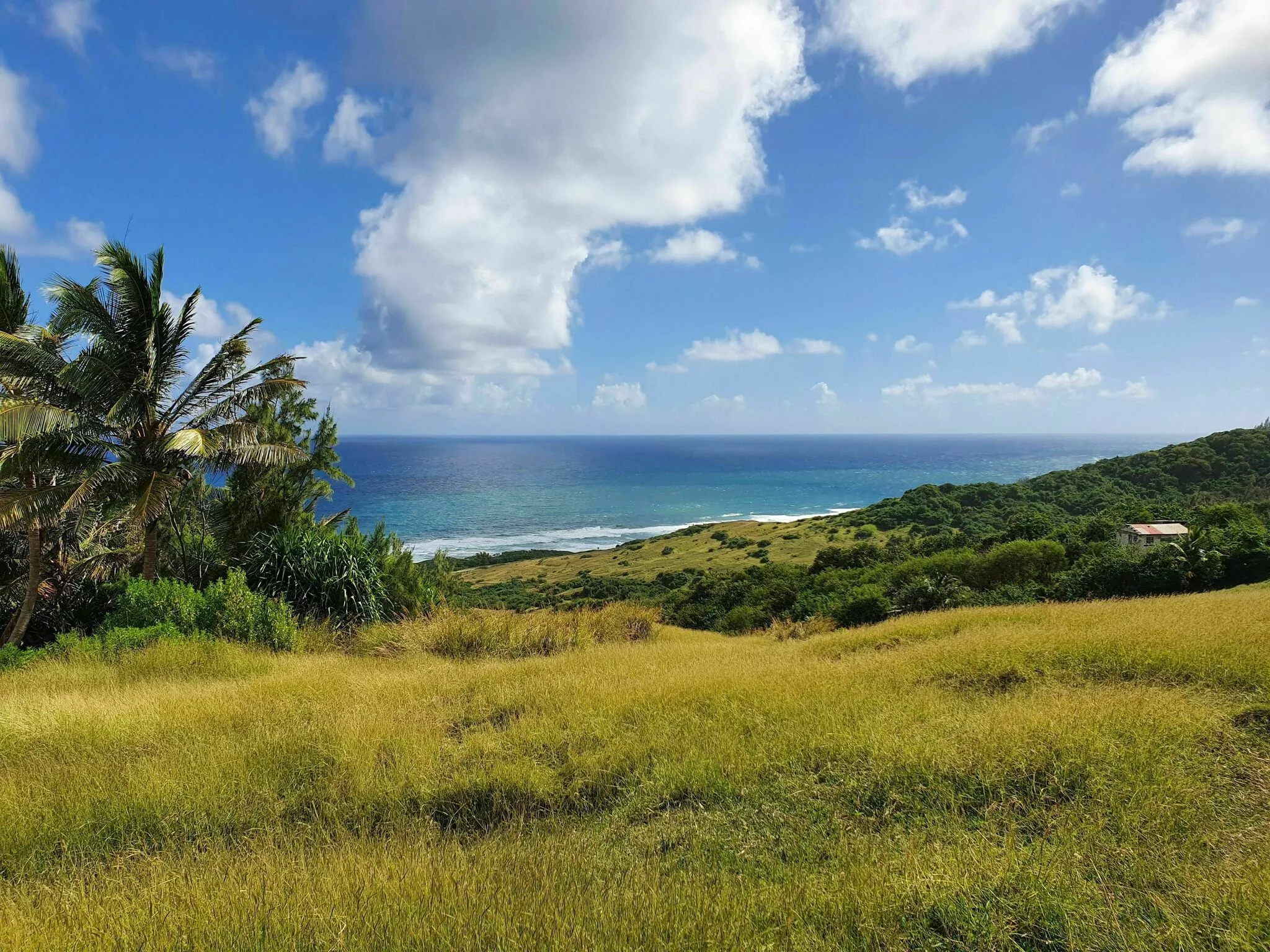Barclays Park via Chalky Mount in Barbados, Caribbean | Trekking & Hiking - Rated 0.7