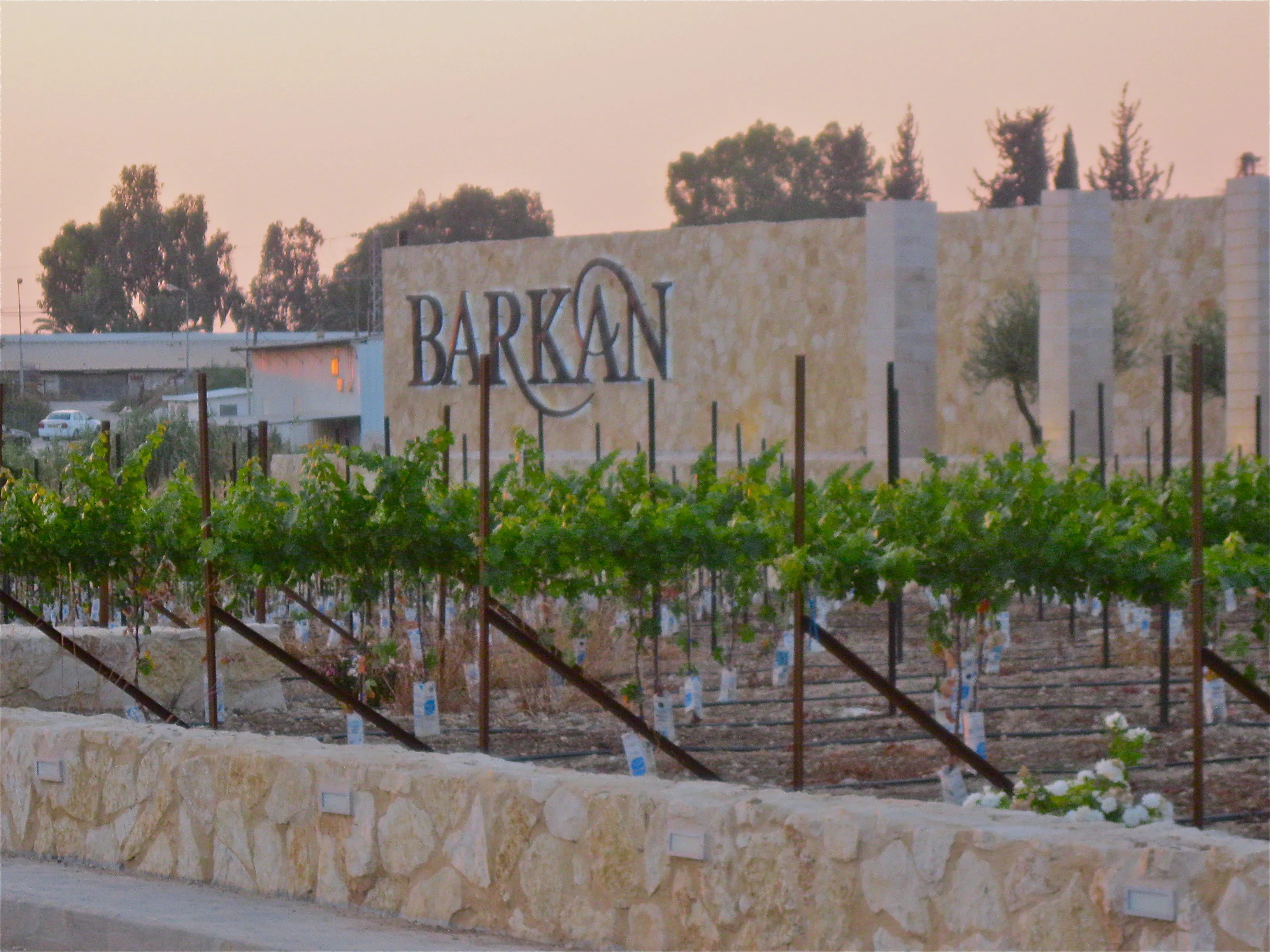 Barkan Winery in Israel, Middle East | Wineries - Rated 3.7