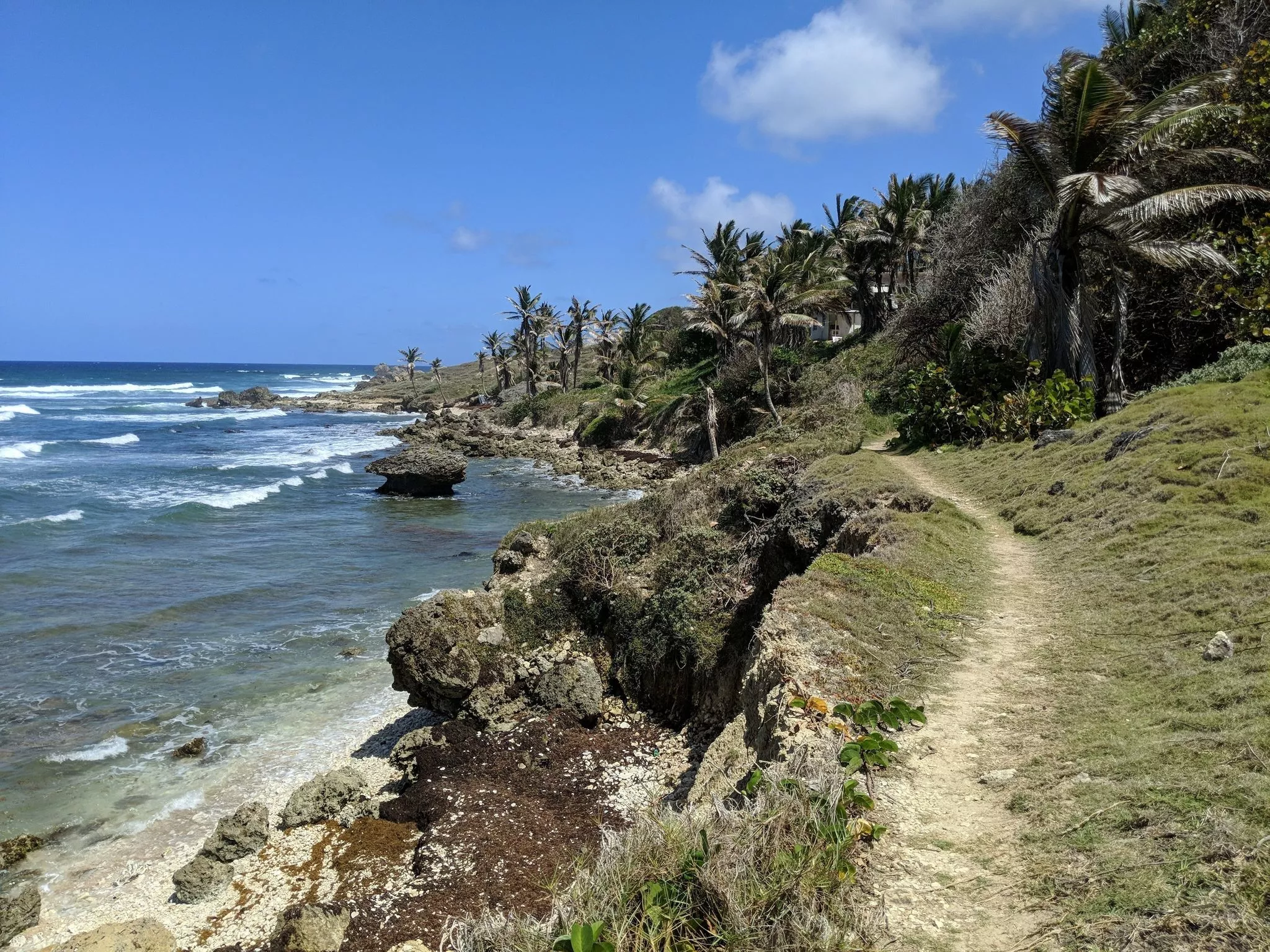 Bathsheba Coastal Walk in Barbados, Caribbean | Trekking & Hiking - Rated 0.7