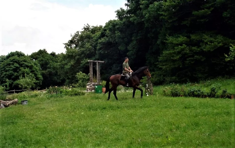 Batumi Horse Club in Georgia, Europe | Horseback Riding - Rated 0.9