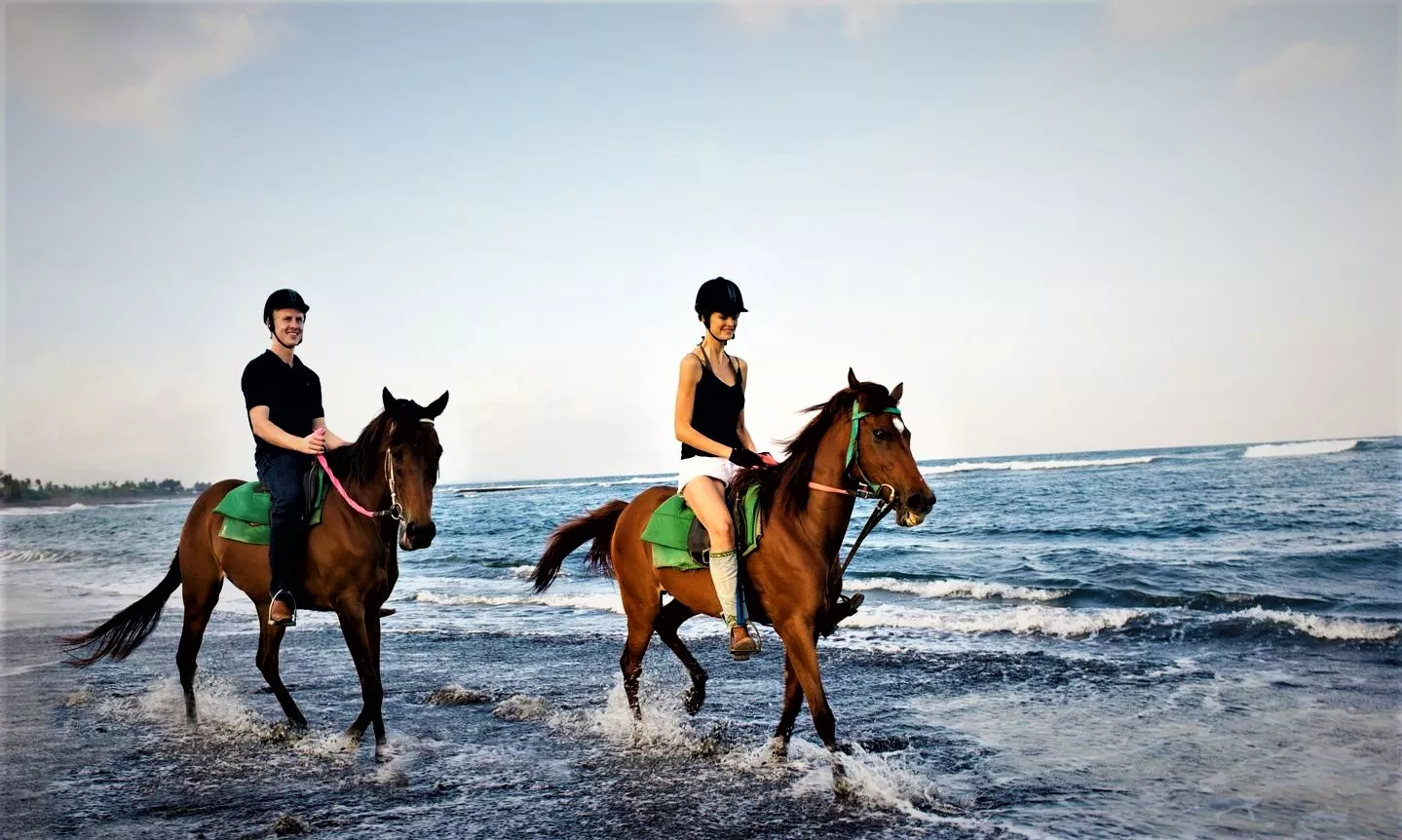 Beradell in South Korea, East Asia | Horseback Riding - Rated 0.8