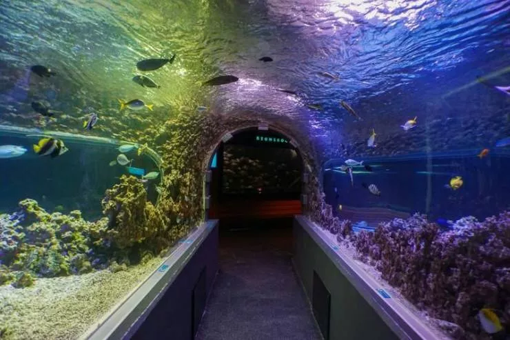 Bergen Aquarium in Norway, Europe | Aquariums & Oceanariums - Rated 3.9