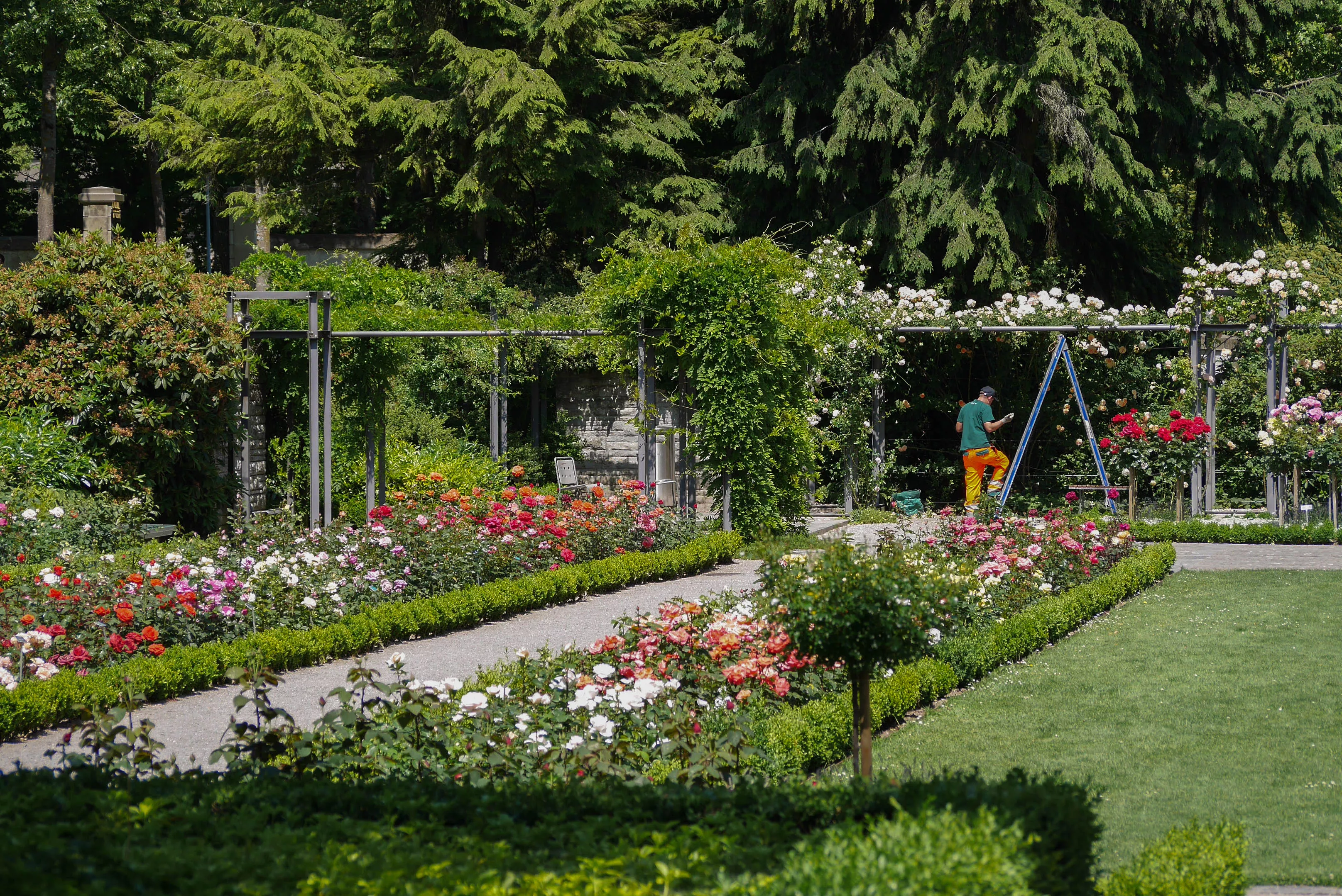 Bern Botanical Garden in Switzerland, Europe | Botanical Gardens - Rated 3.7