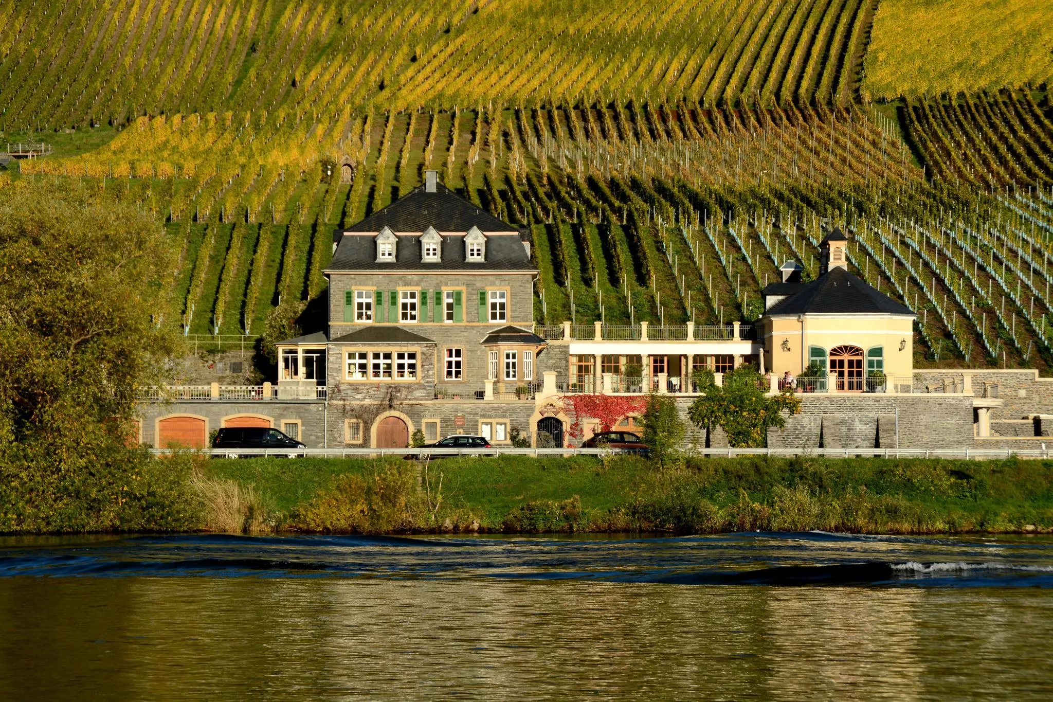 Dr. Loosen in Germany, Europe | Wineries - Rated 0.9