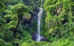 Curug Benowo in Indonesia, Central Asia | Waterfalls - Rated 3.7