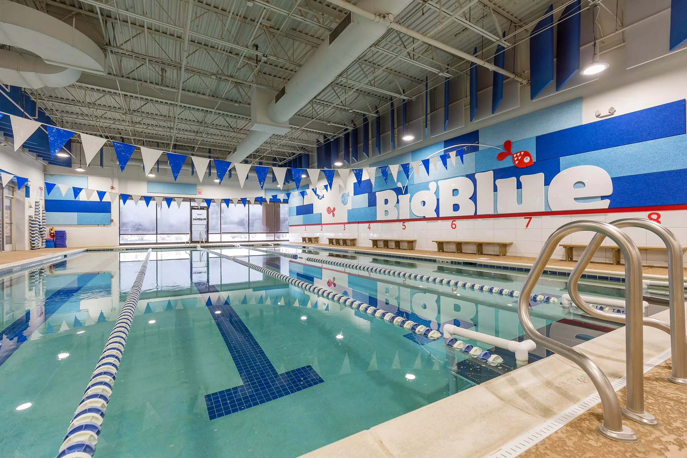 Big Blue Swim School in USA, North America | Swimming - Rated 4