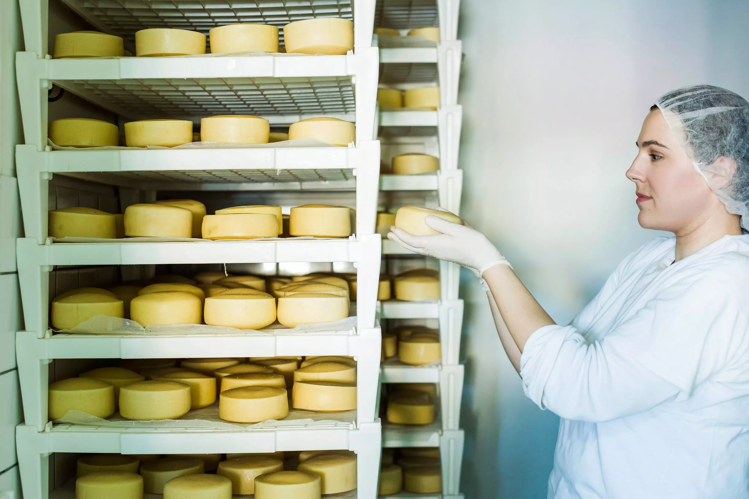 Meggle Dairy in Bosnia and Herzegovina, Europe | Cheesemakers - Rated 0.9