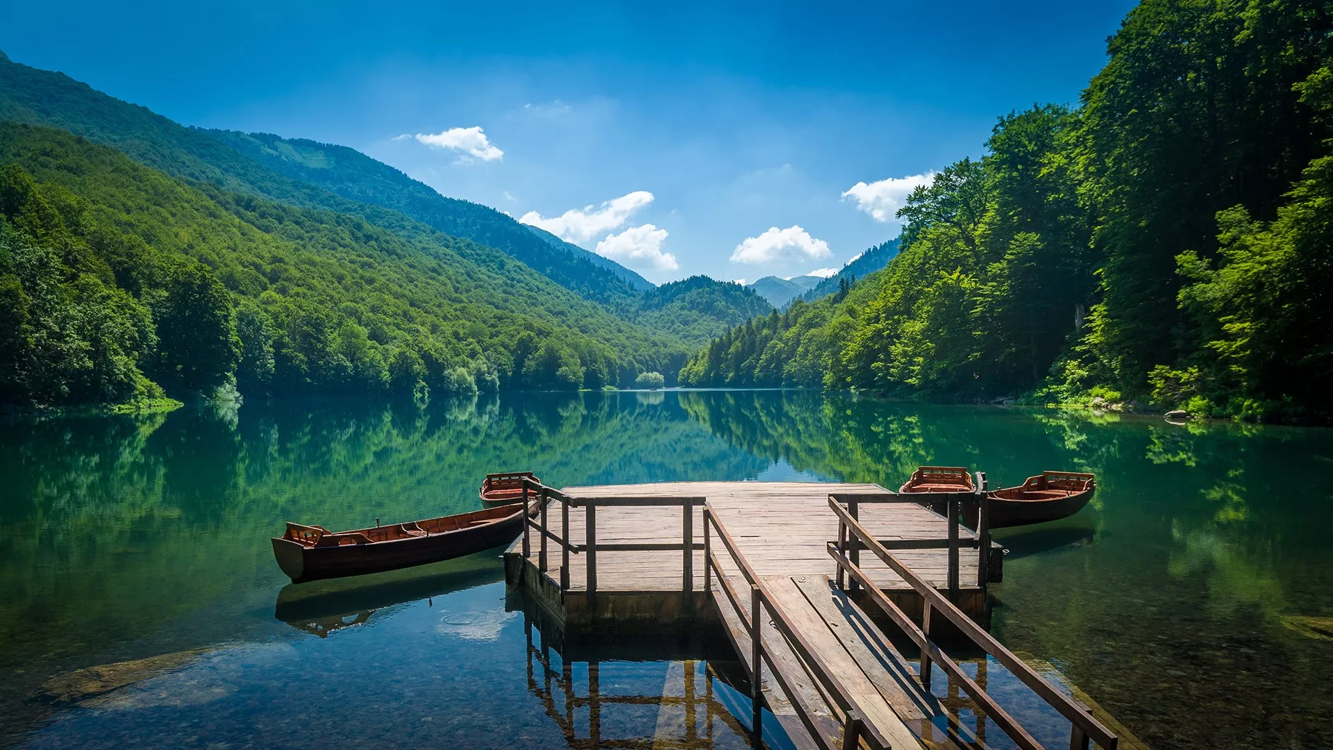 Biogradska Gora National Park in Montenegro, Europe | Trekking & Hiking - Rated 3.6