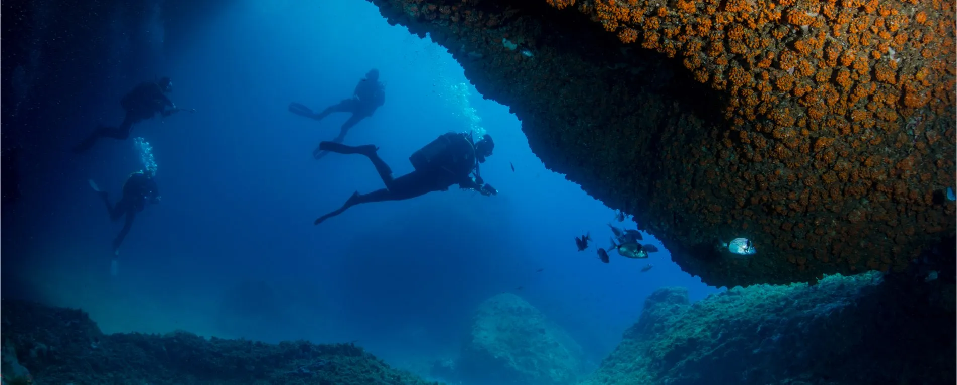Blue Hole in Palau, Australia and Oceania | Scuba Diving - Rated 0.8