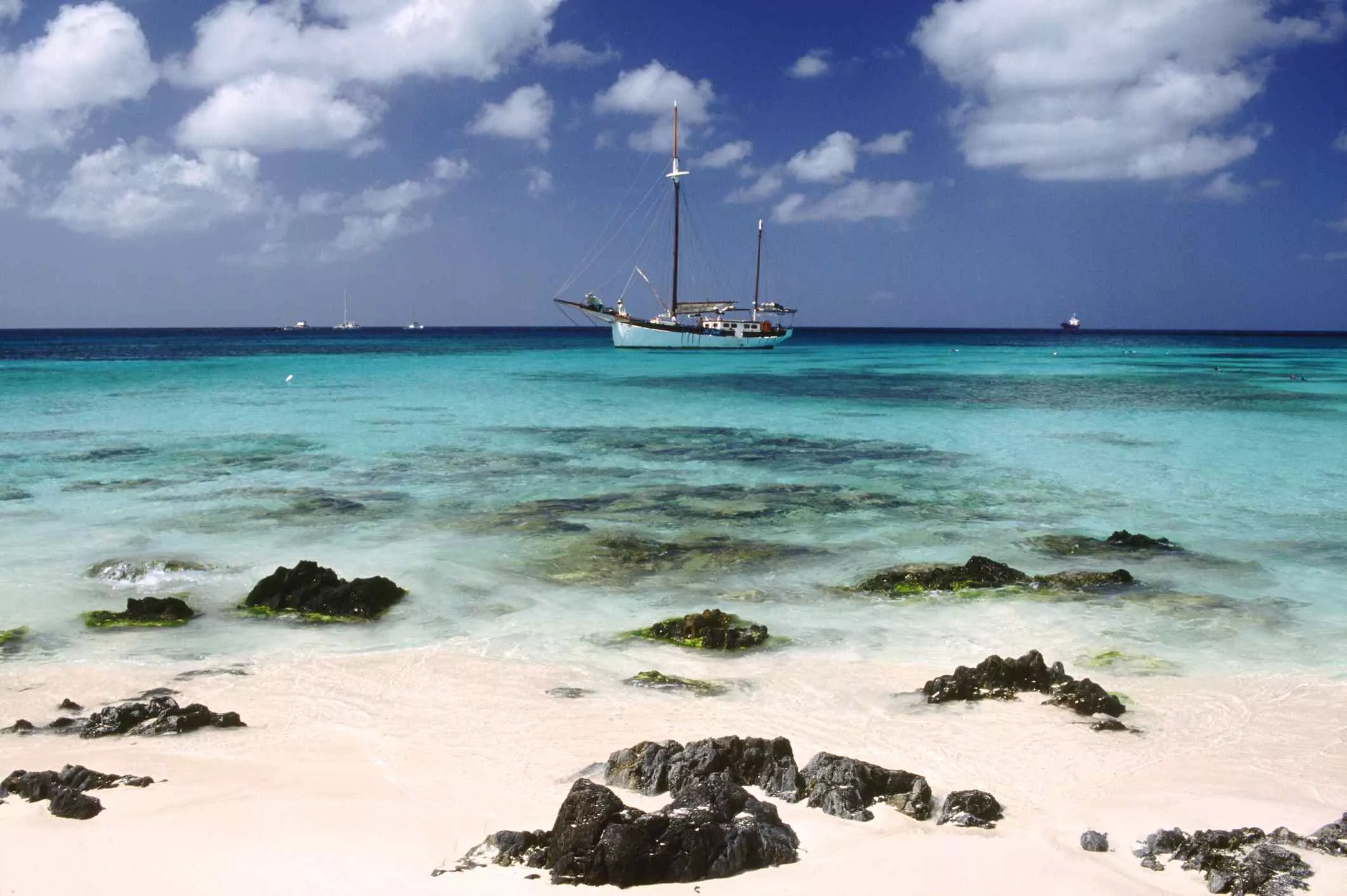 Boca Catalina Beach in Aruba, Caribbean | Beaches,Snorkelling - Rated 6.4