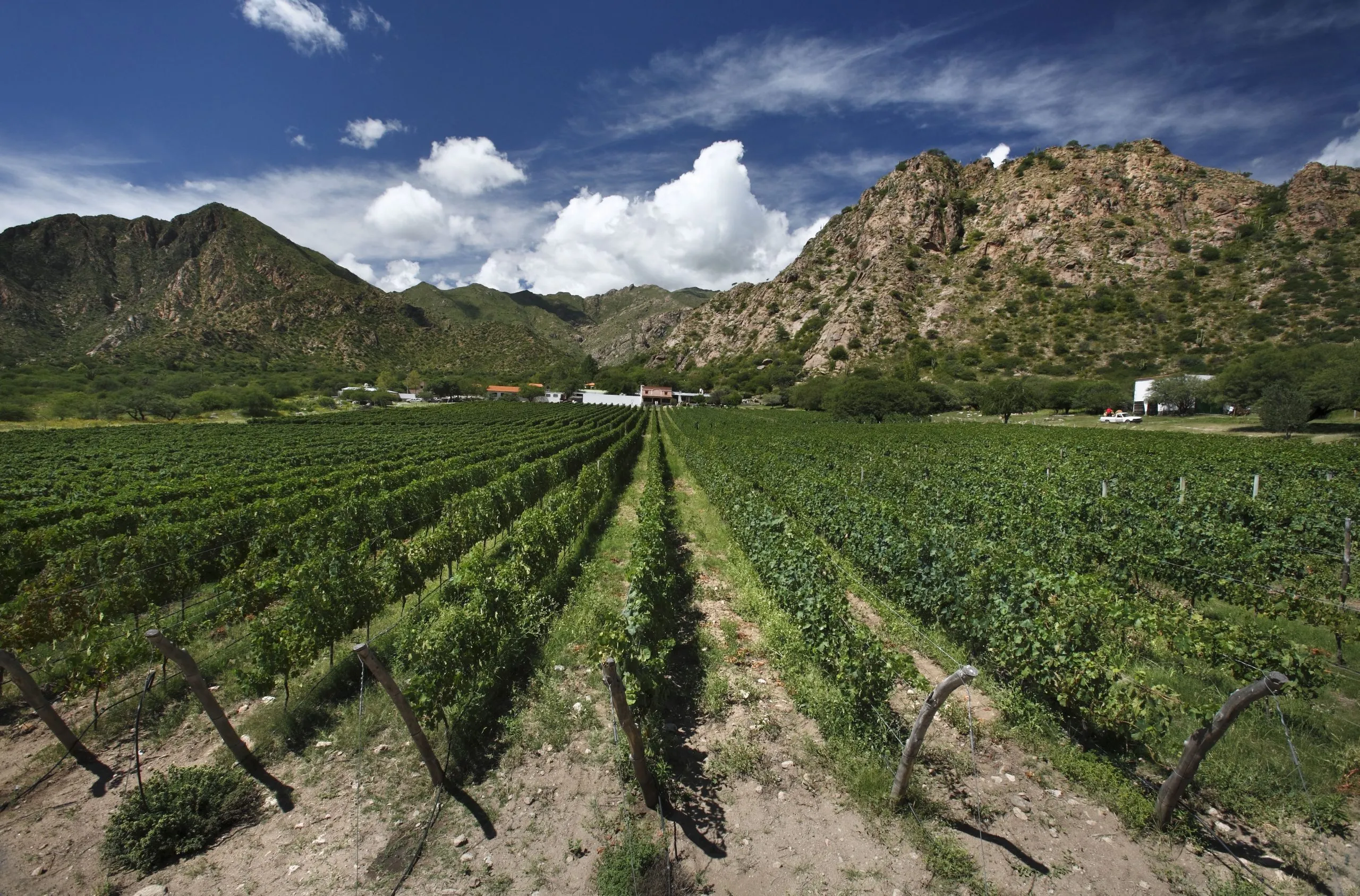 Bodega Amalaya in Argentina, South America | Wineries,Bars - Rated 0.8