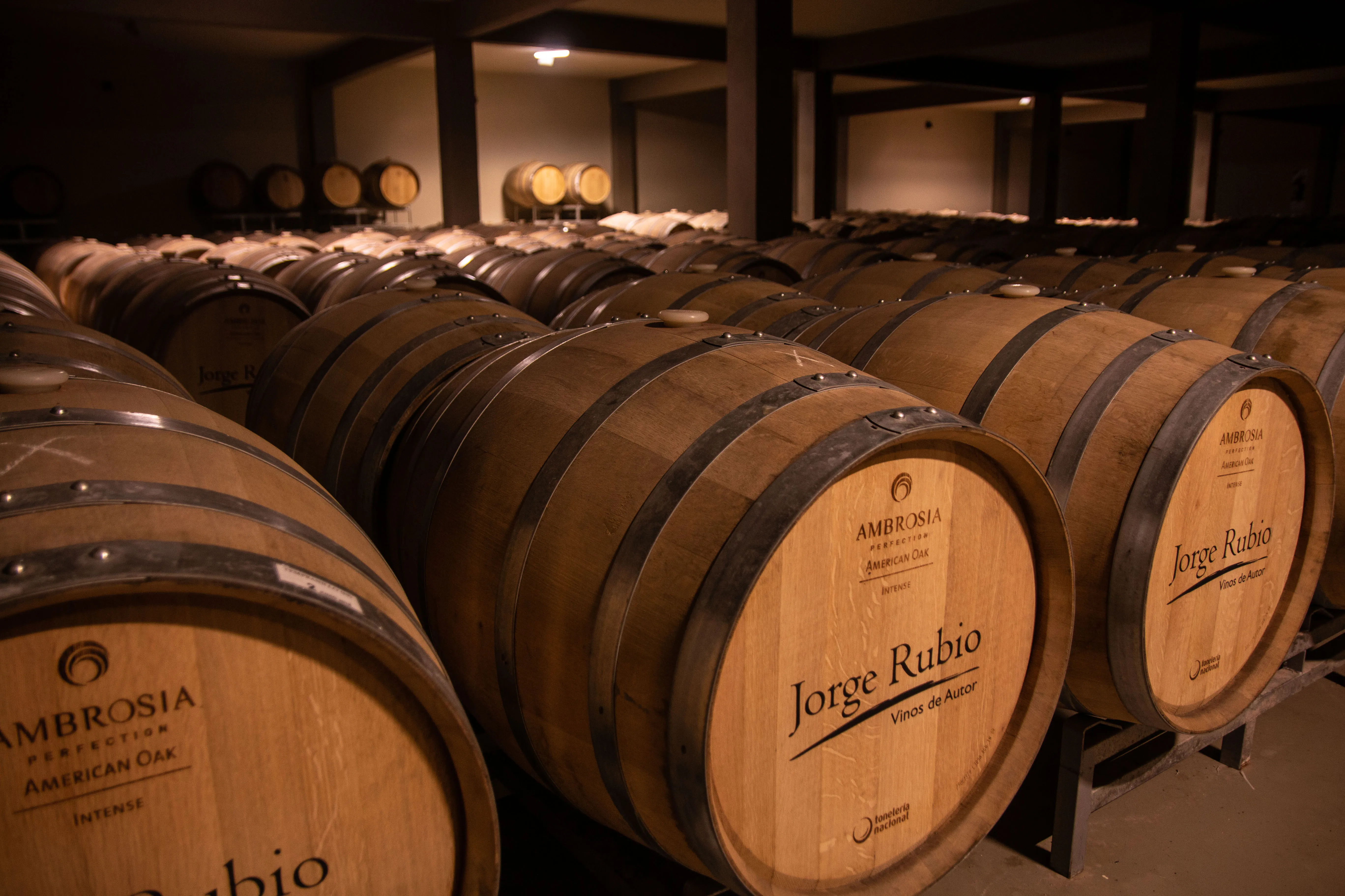 Bodega Jorge Rubio in Argentina, South America | Wineries - Rated 3.8