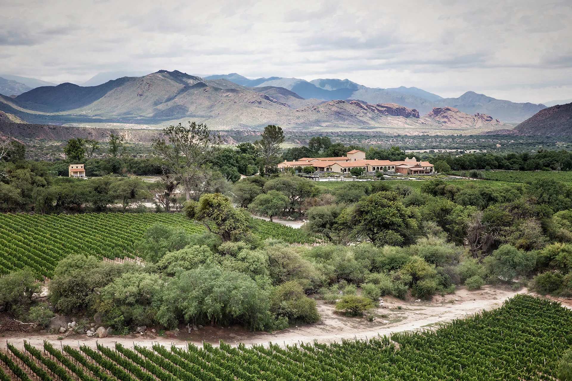 Bodega Colome in Argentina, South America | Wineries - Rated 0.8
