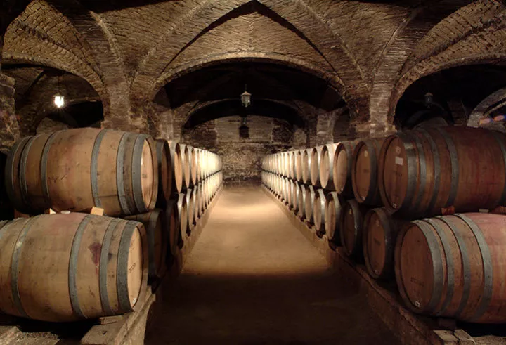 Vina Santa Rita in Chile, South America | Wineries - Rated 3.9