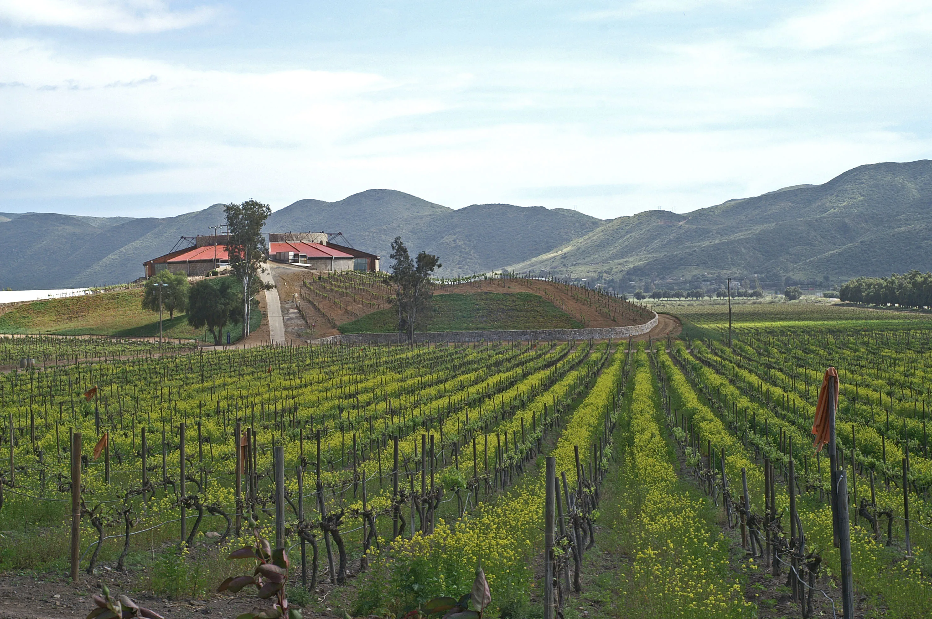 Bodegas Magoni in Mexico, North America | Wineries - Rated 4