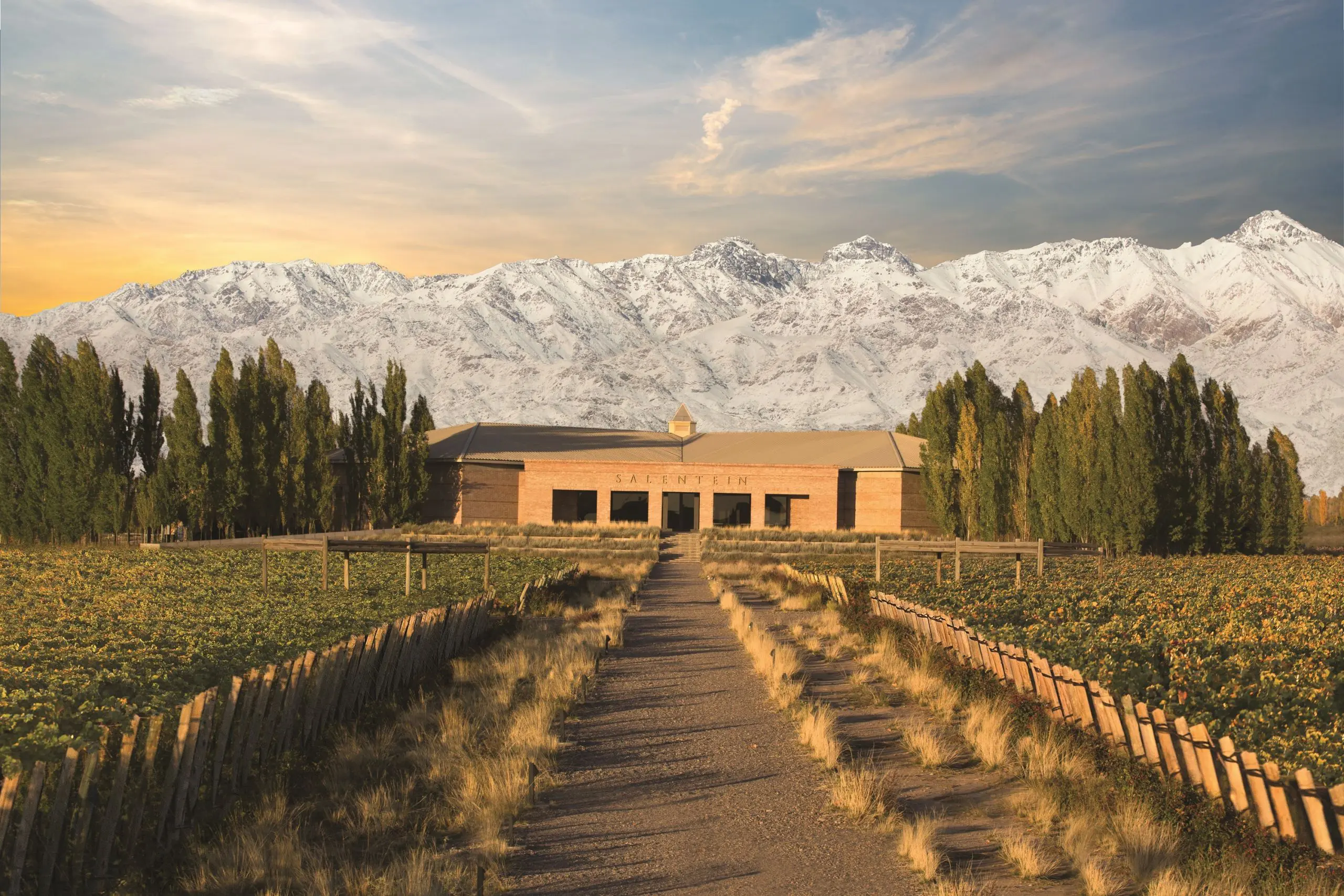Bodegas Salentein in Argentina, South America | Wineries - Rated 3.7