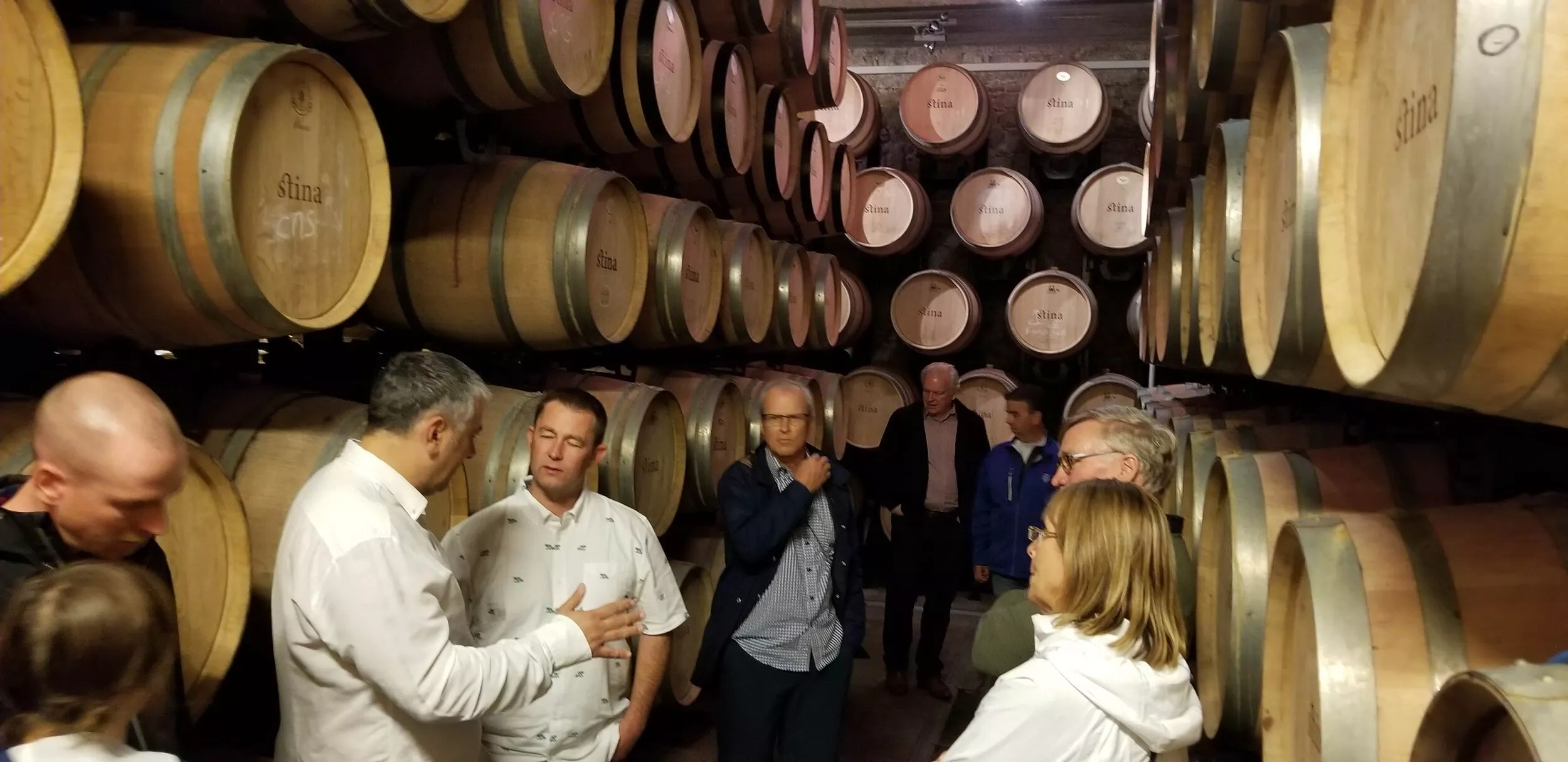 Stina Winery in Croatia, Europe | Wineries - Rated 0.9
