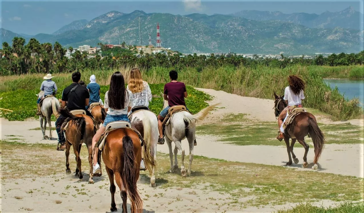 Bonanza Horse Riding in Mexico, North America | Horseback Riding - Rated 1