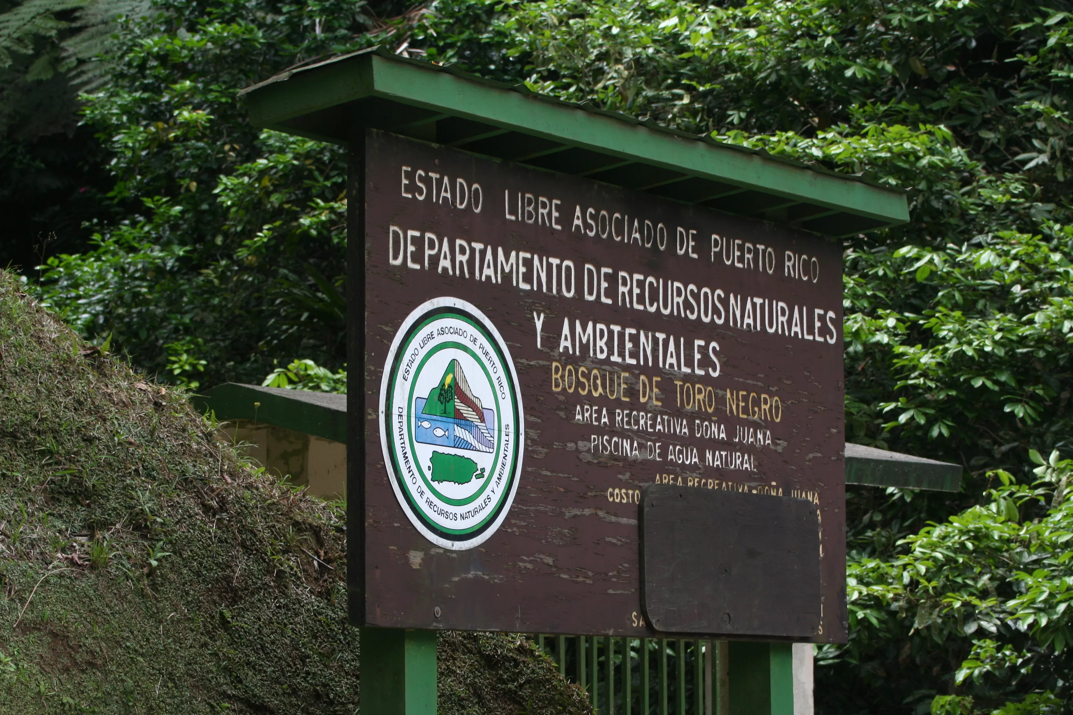 Bosque Estatal Toro Negro in Puerto Rico, Caribbean | Trekking & Hiking - Rated 3.8